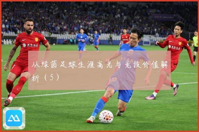从绿茵足球生涯高光与竞技价值解析（5）
