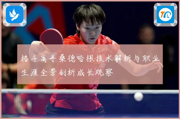 格斗高手桑德哈根技术解析与职业生涯全景剖析成长观察