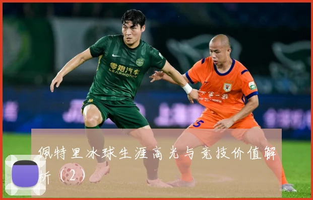佩特里冰球生涯高光与竞技价值解析（2）