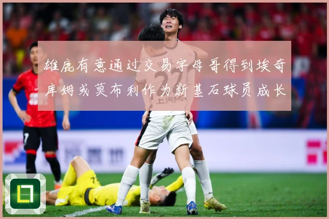 雄鹿有意通过交易字母哥得到埃奇库姆或莫布利作为新基石球员成长观察