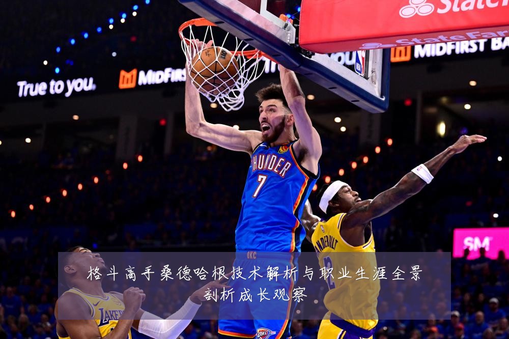 格斗高手桑德哈根技术解析与职业生涯全景剖析成长观察